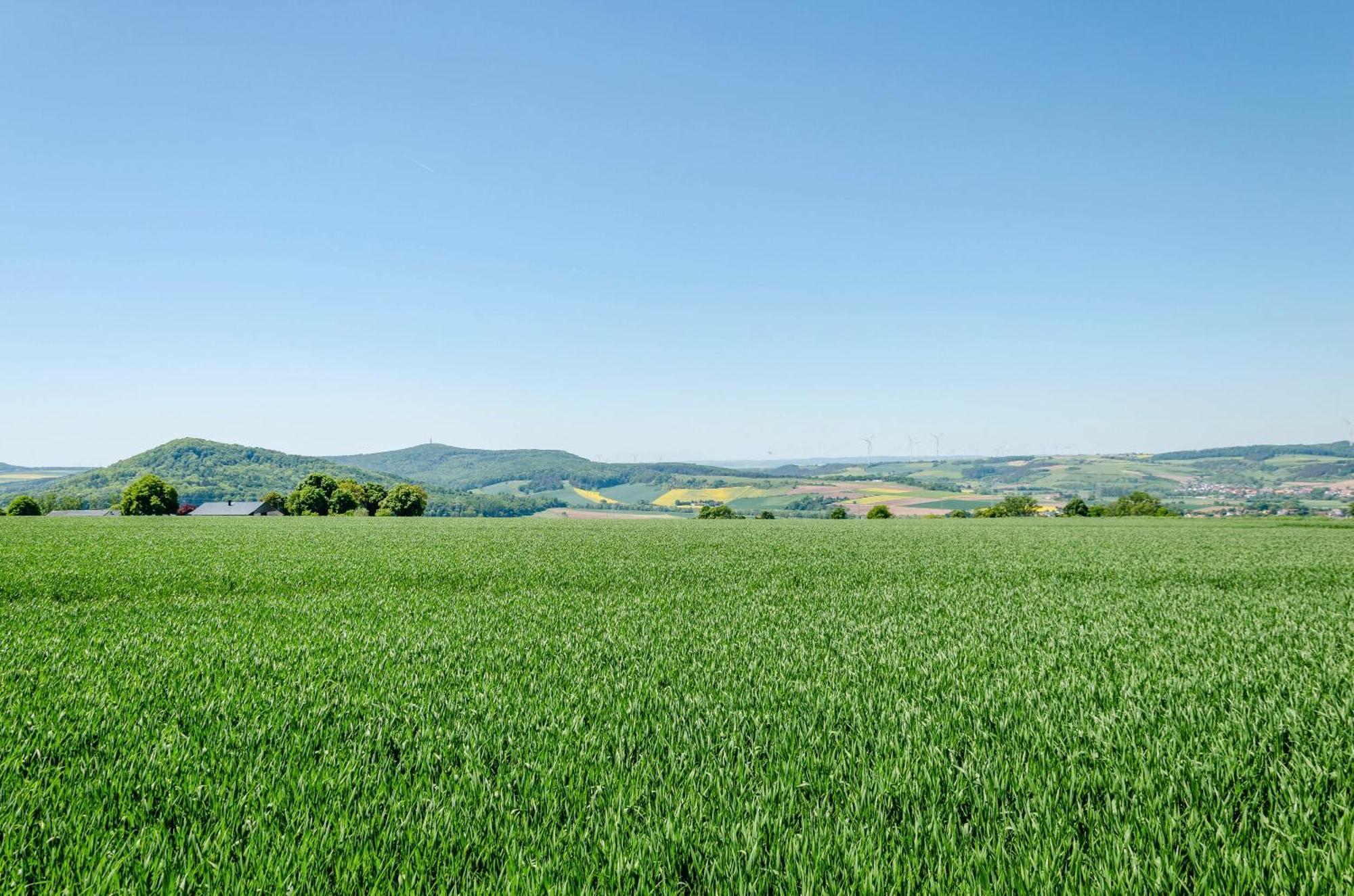 Ferienwohnung Landleben Hofgeismar Buitenkant foto
