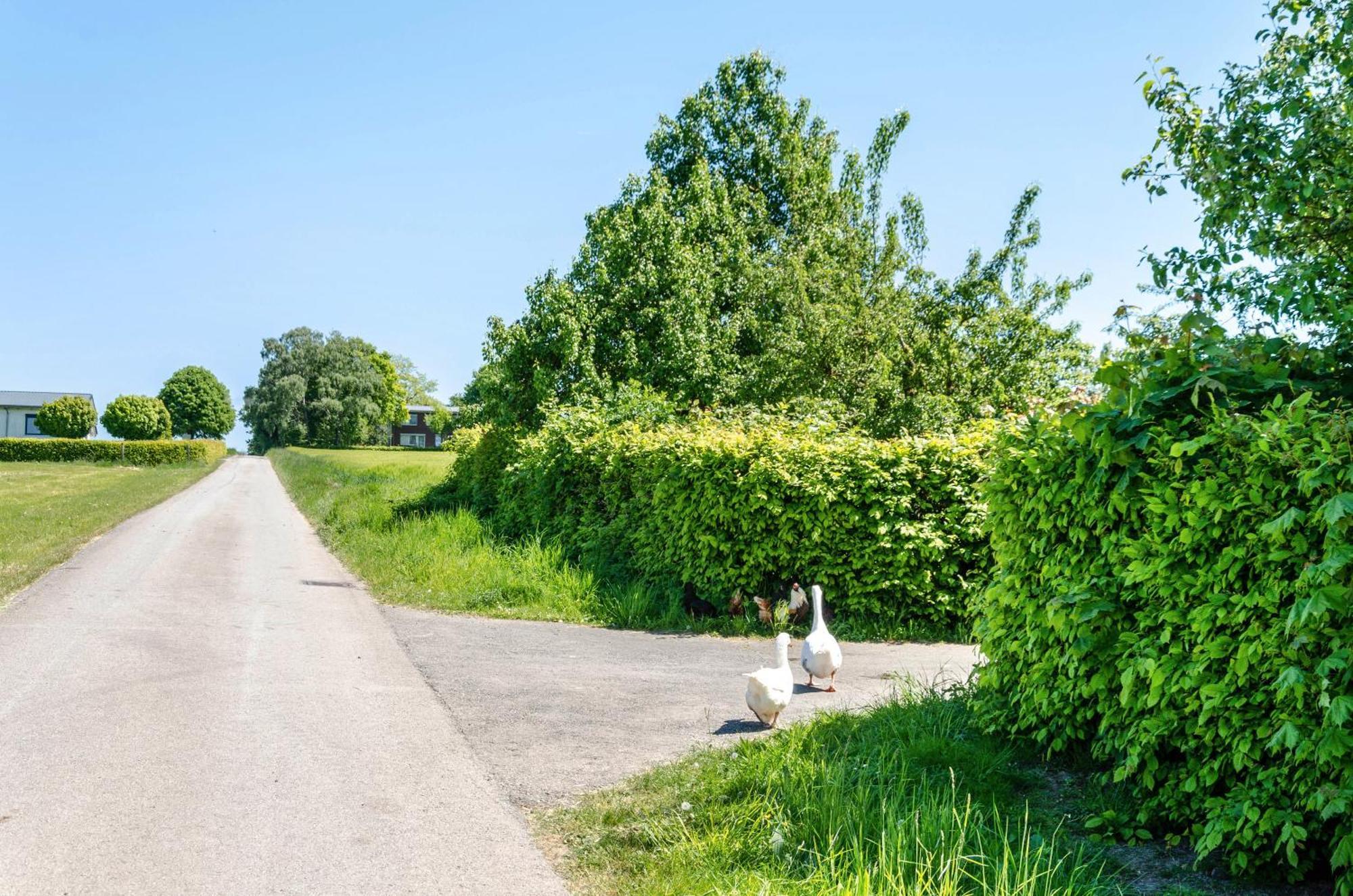 Ferienwohnung Landleben Hofgeismar Buitenkant foto