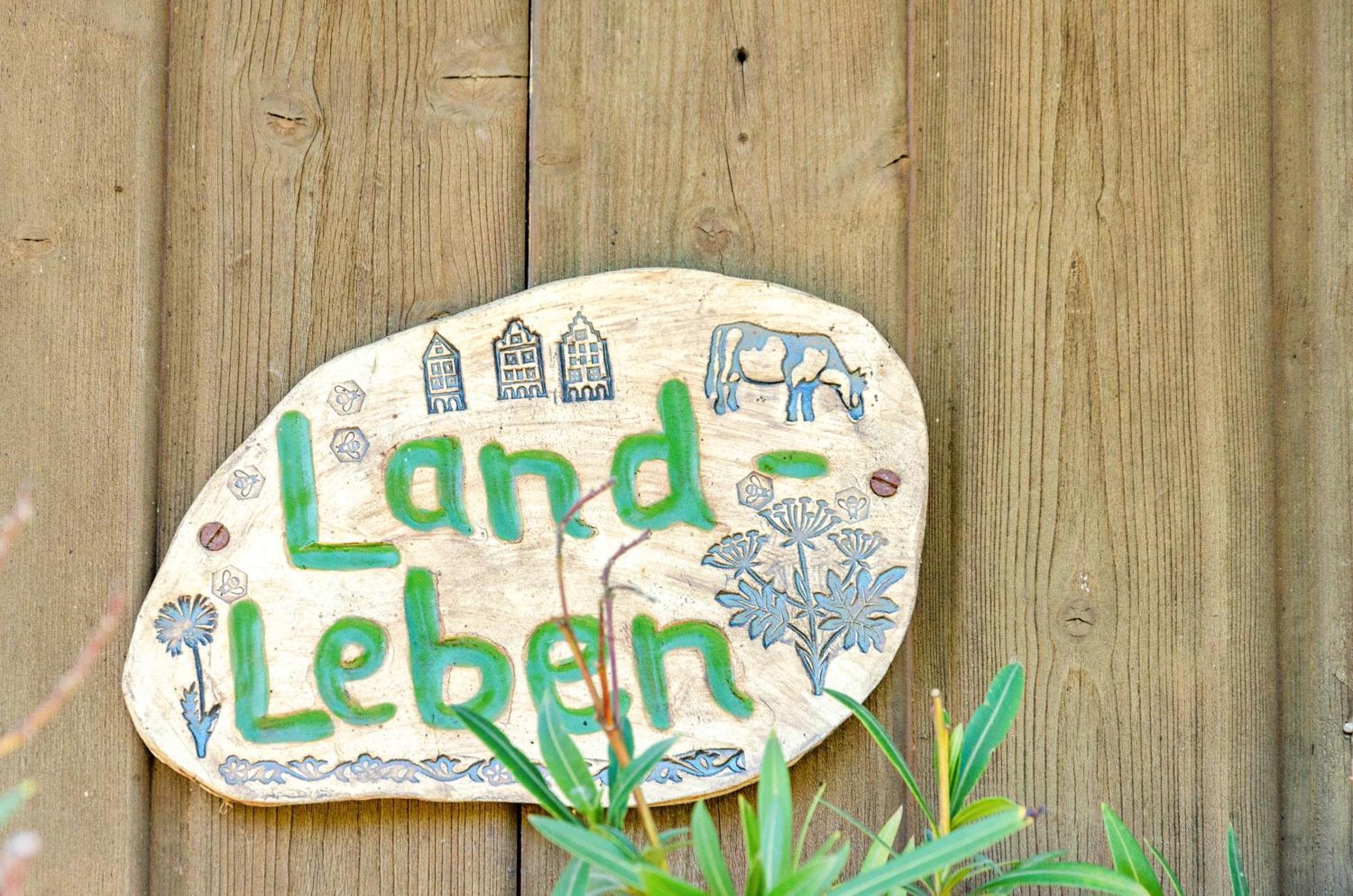 Ferienwohnung Landleben Hofgeismar Buitenkant foto