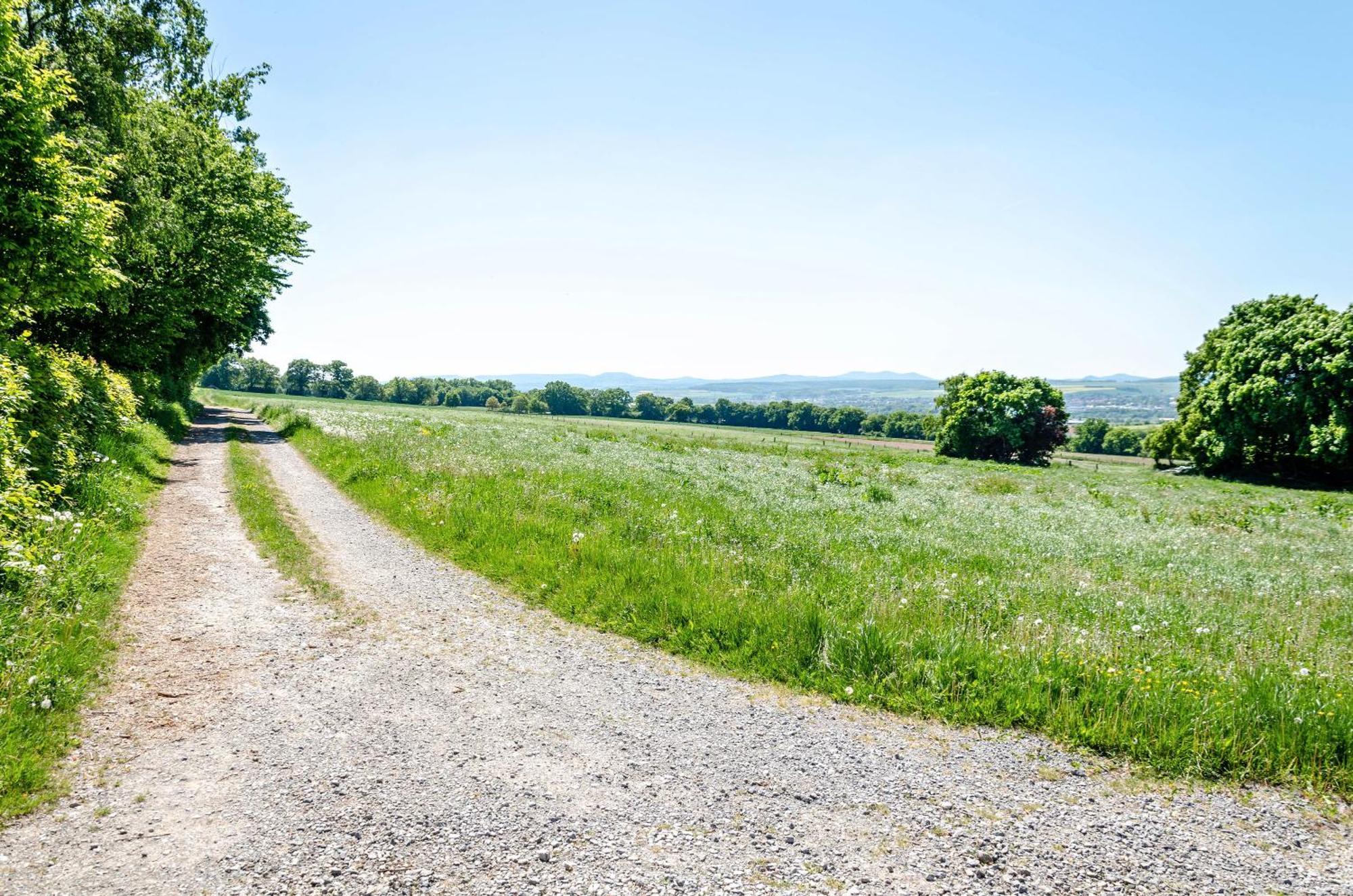 Ferienwohnung Landleben Hofgeismar Buitenkant foto